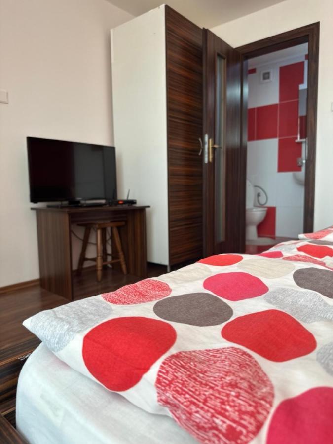 Zemplin Holiday home *
